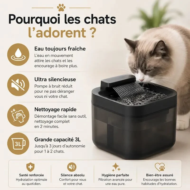 Fontaine eau USB 3L - Silencieuse & stable | FelicityFlow