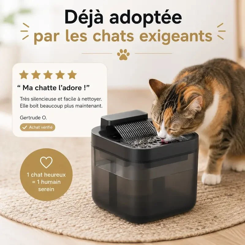 Fontaine eau USB 3L - Silencieuse & stable | FelicityFlow