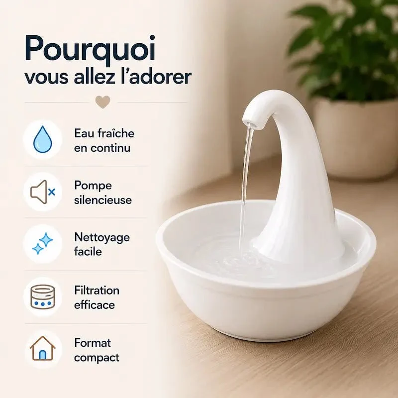 Fontaine automatique pour chat - Eau pure continue | Miautek