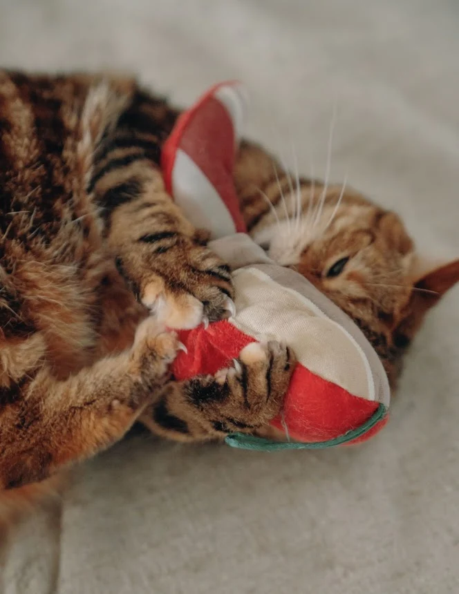 Jouet Piment d'Espelette pour Chats