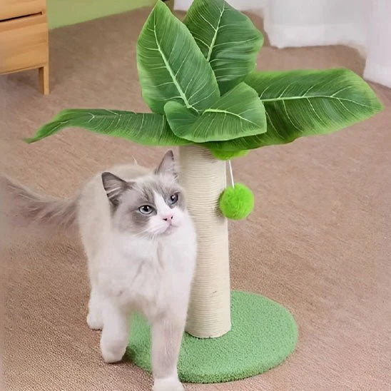 ARBRE A CHAT PALMIER | GRIFF'PALMIER