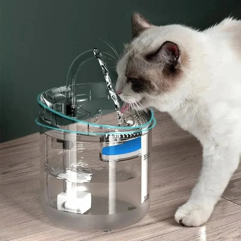 Fontaine chat 2L design avec capteur - Détection auto | SensiFlow