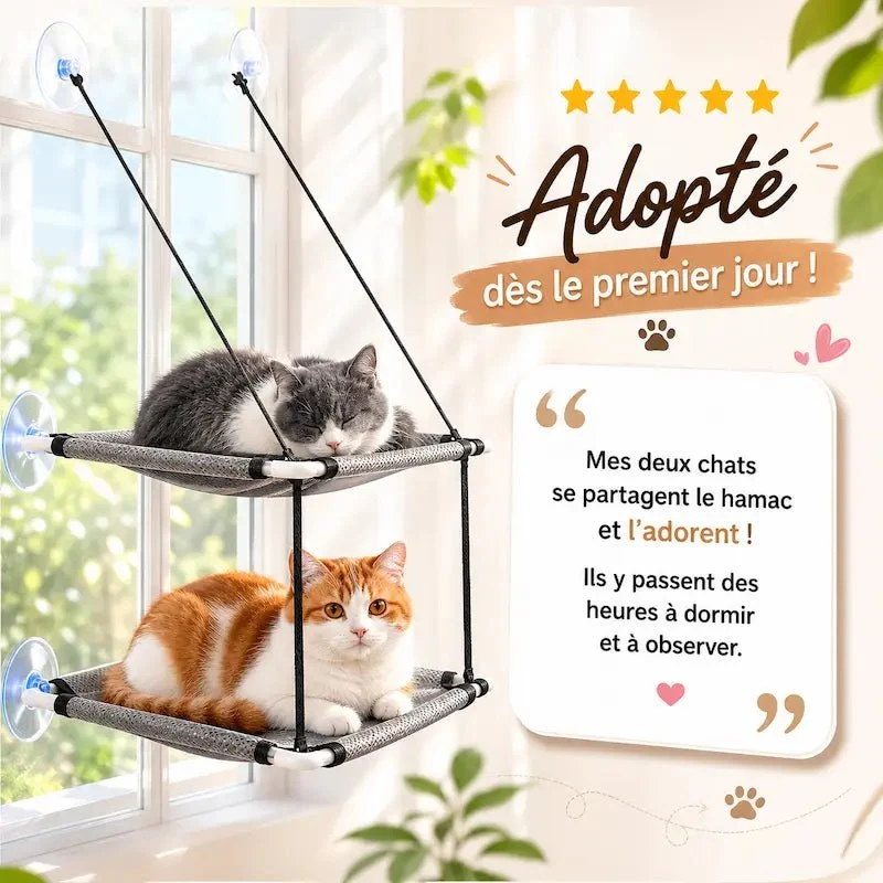Hamac double pour chat - 2-en-1 confortable | DuoHamac