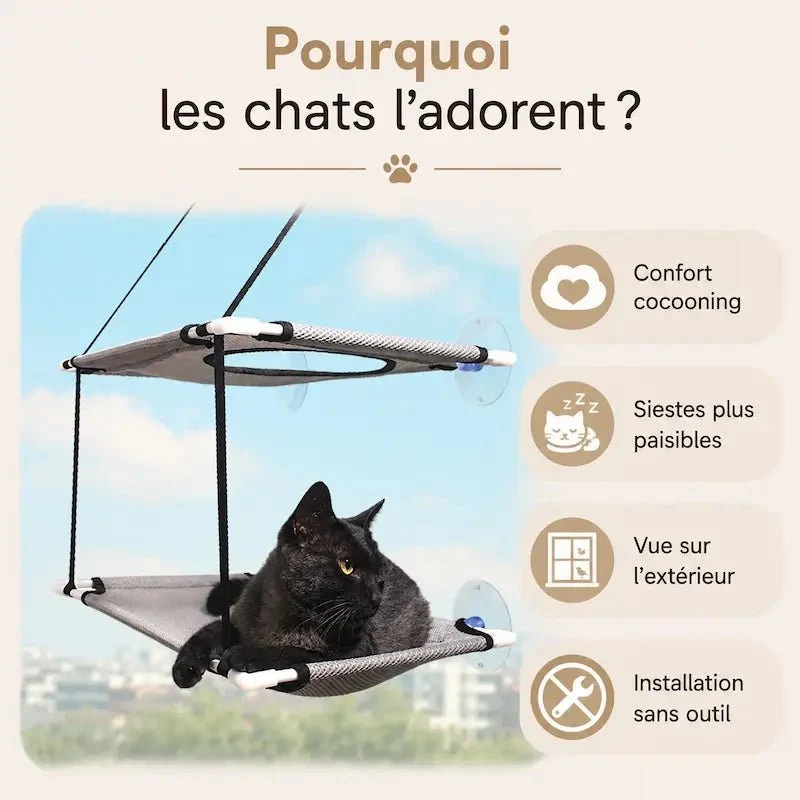 Hamac double pour chat - 2-en-1 confortable | DuoHamac