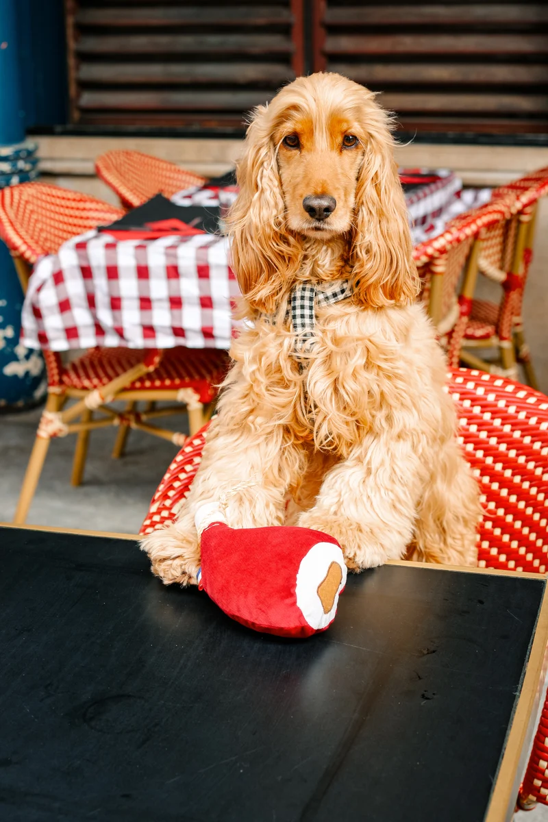 Doudou Jambon Bayonne - jouet artisanal chien