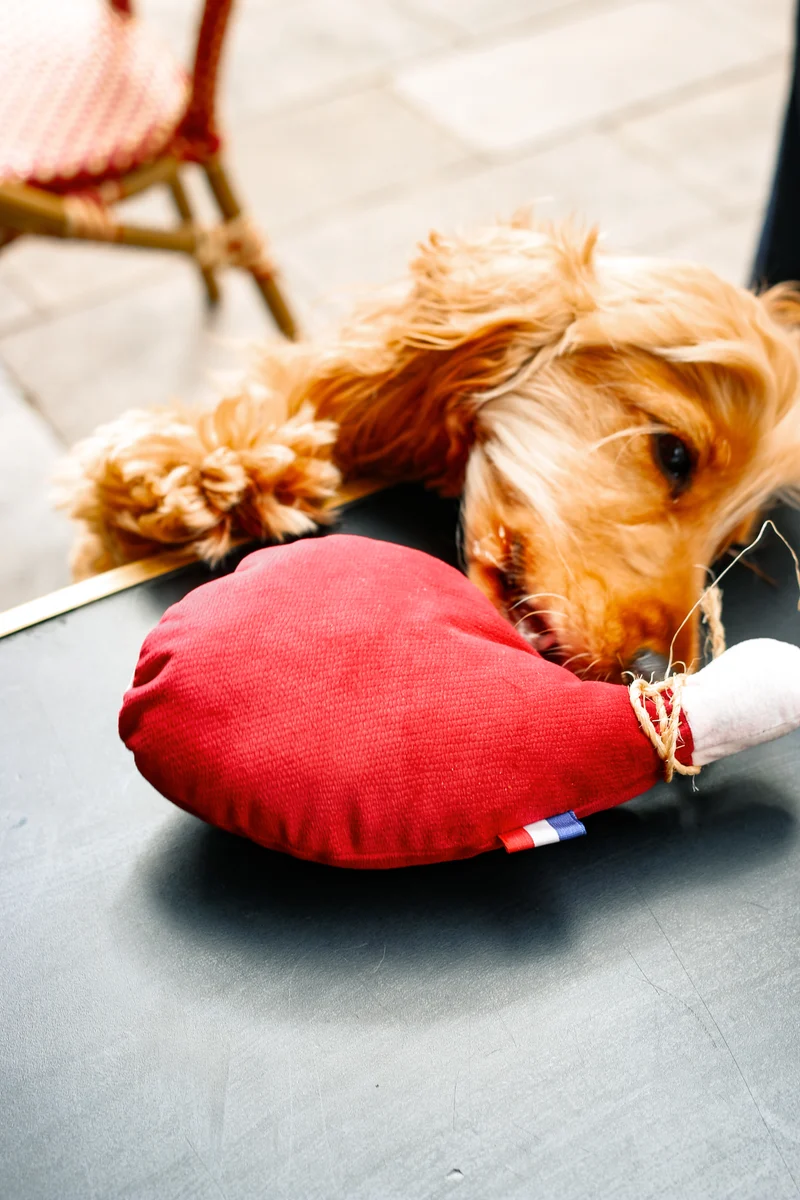 Doudou Jambon Bayonne - jouet artisanal chien