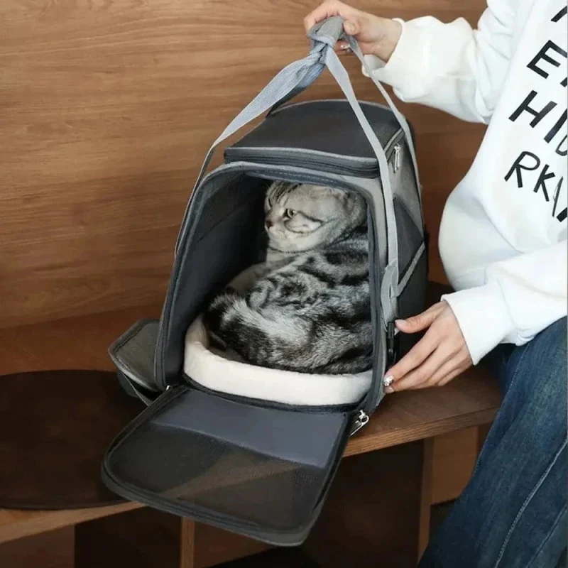 Sac de voyage pour chat - Déplacements sereins | TravelCat