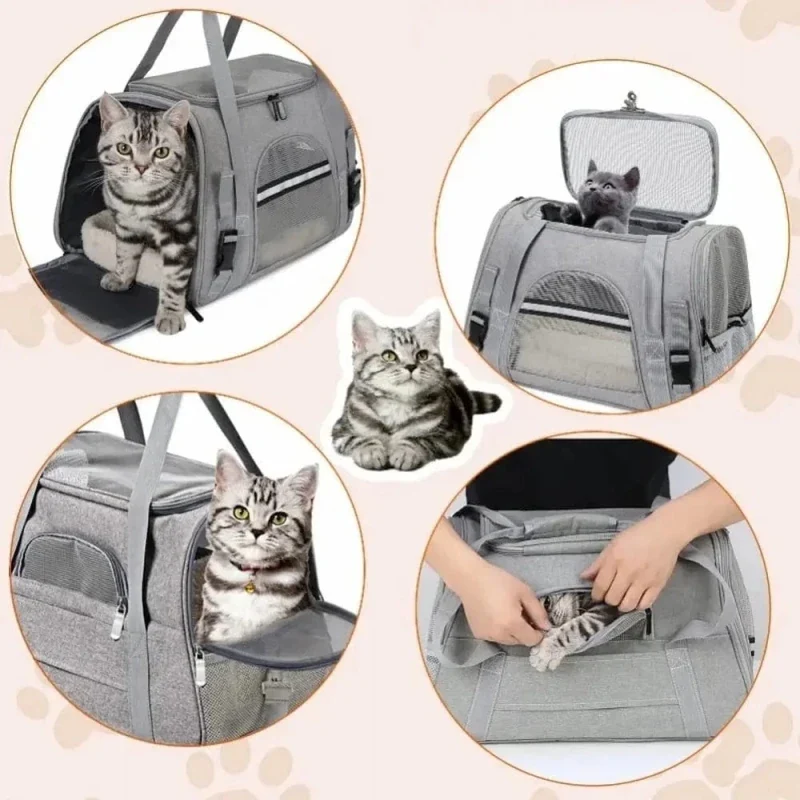 Sac de voyage pour chat - Déplacements sereins | TravelCat