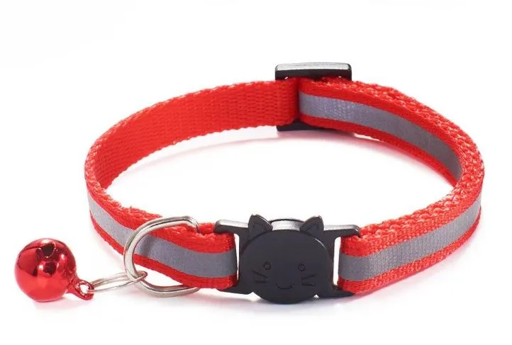 Joli collier pour chat avec bande réfléchissante