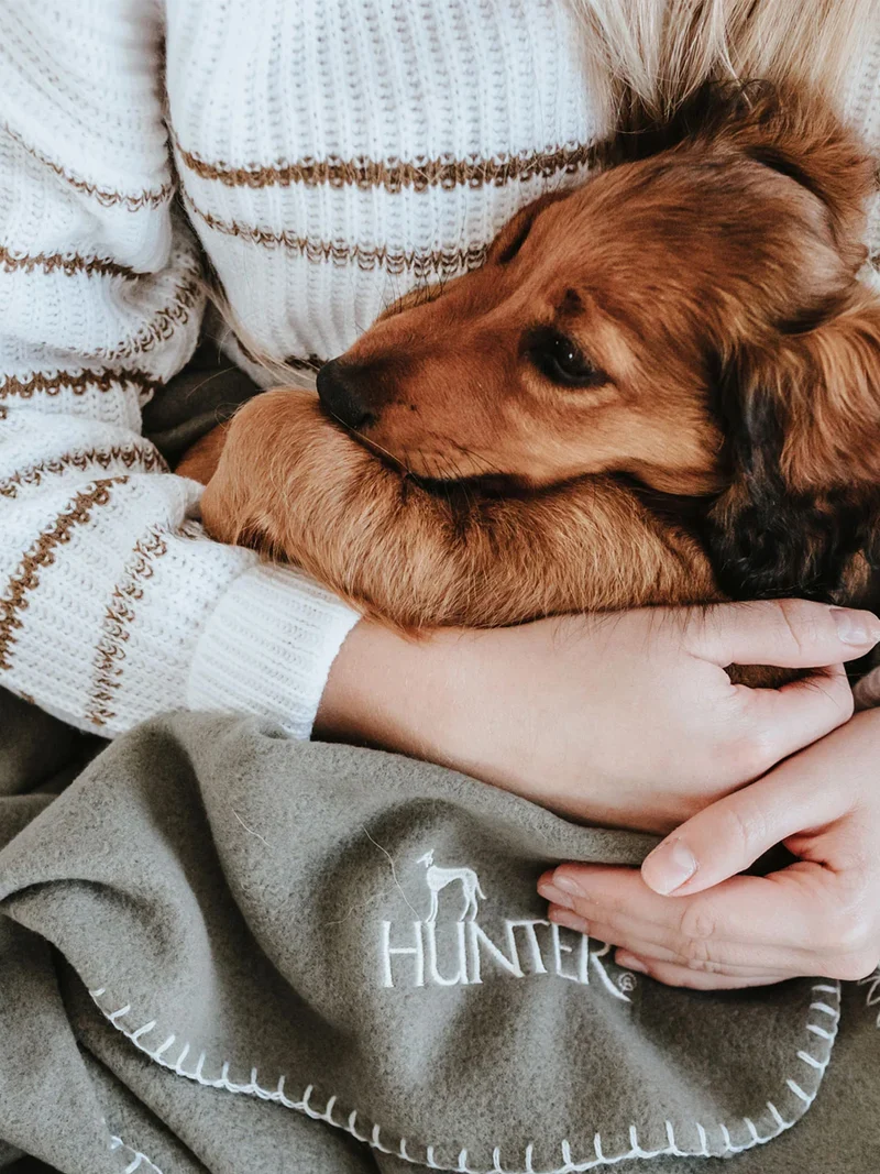 Plaid couverture XL pour chien - Vert - Hunter