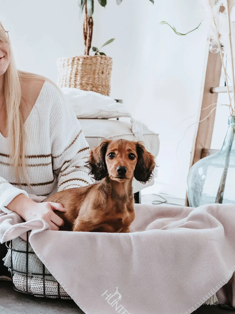 Plaid couverture XL pour chien - Crème - Hunter