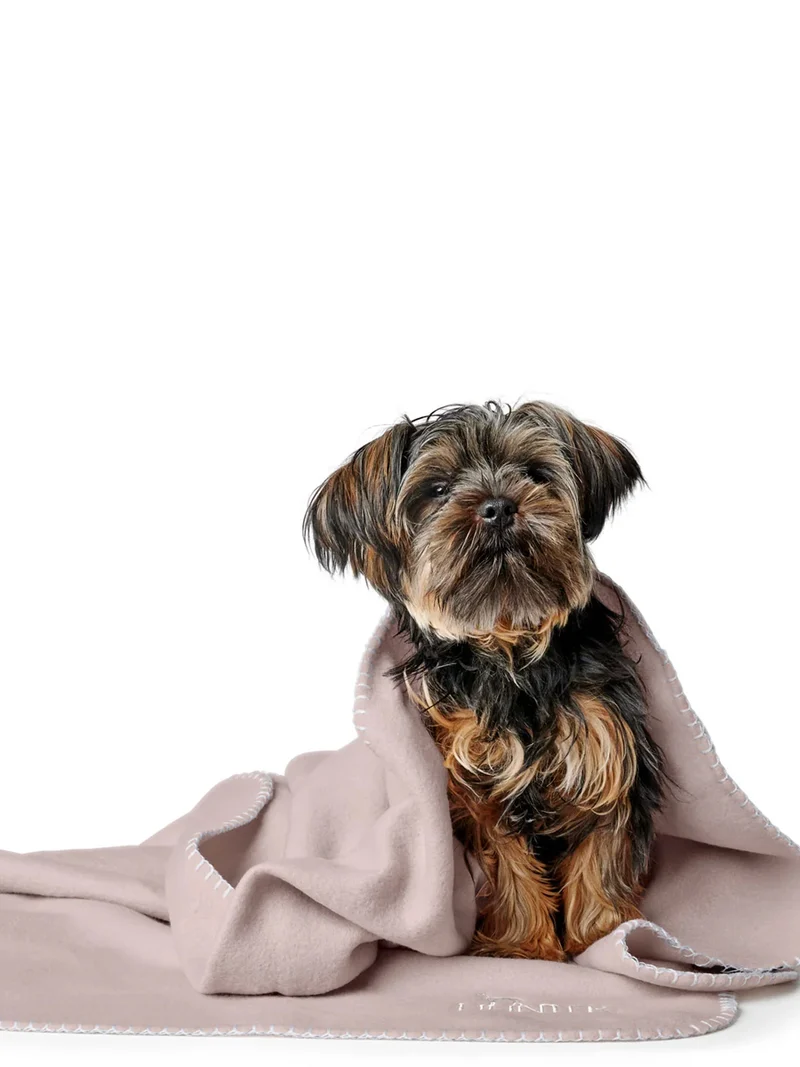 Plaid couverture XL pour chien - Crème - Hunter