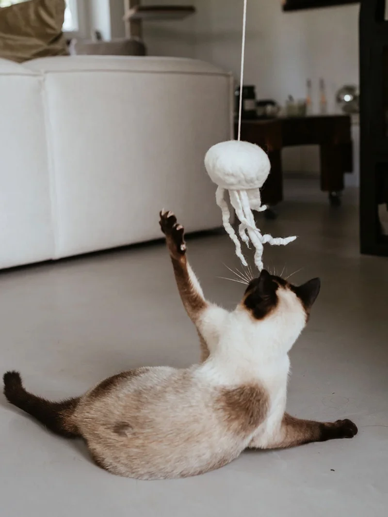 Jouet pour chat - Méduse en laine 🪼 - Hunter stylecats
