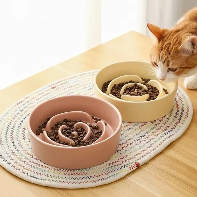 Gamelle anti glouton chat - Céramique design spirale - Fleur
