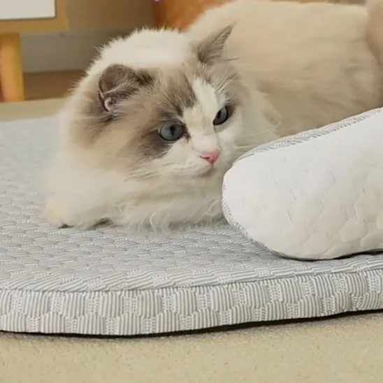 Tapis Fraicheur Chat | Mousse de Fraîcheur Féline