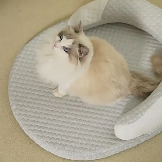 Tapis Fraicheur Chat | Mousse de Fraîcheur Féline