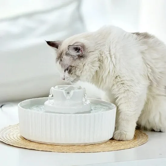 FONTAINE CHAT CERAMIQUE | Faïence Féline