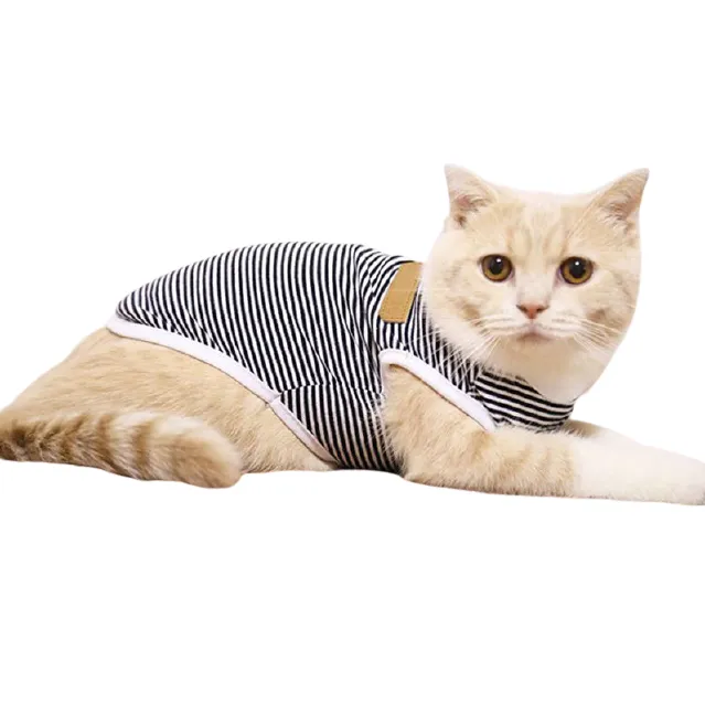Body pour chat