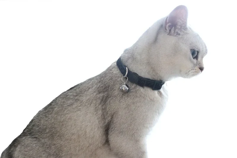 Collier brillant personnalisable