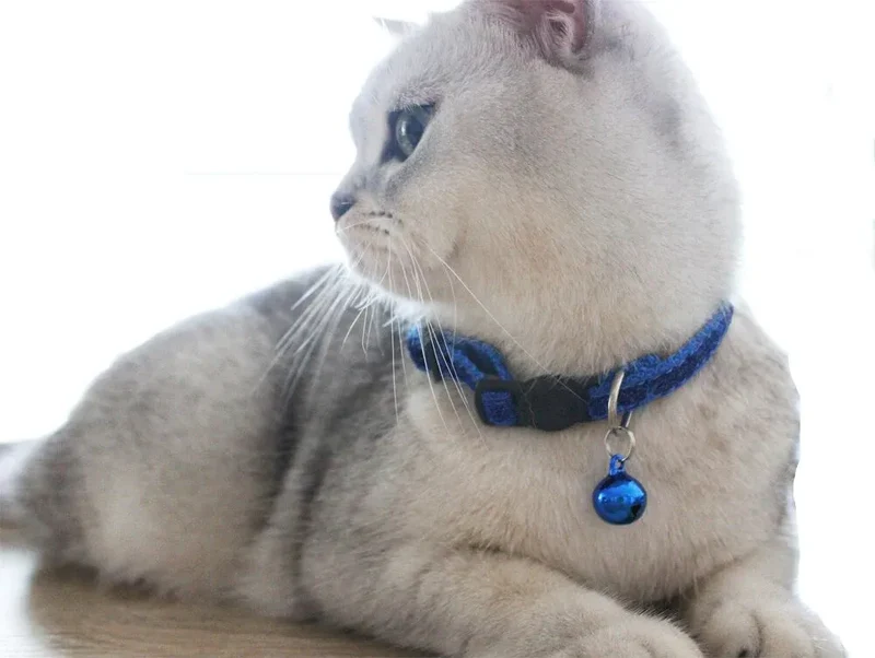 Collier brillant personnalisable