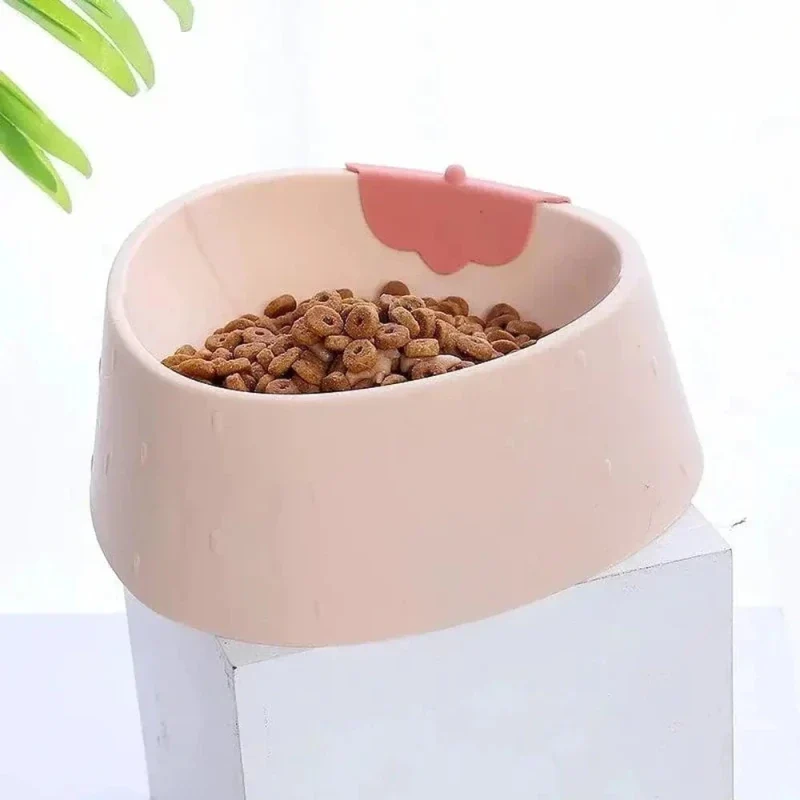 Gamelle ergonomique chat - Posture idéale | ErgoBowl