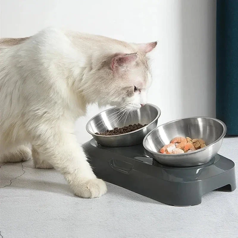 Gamelle chat surélevée inox - Posture idéale | SteelLift