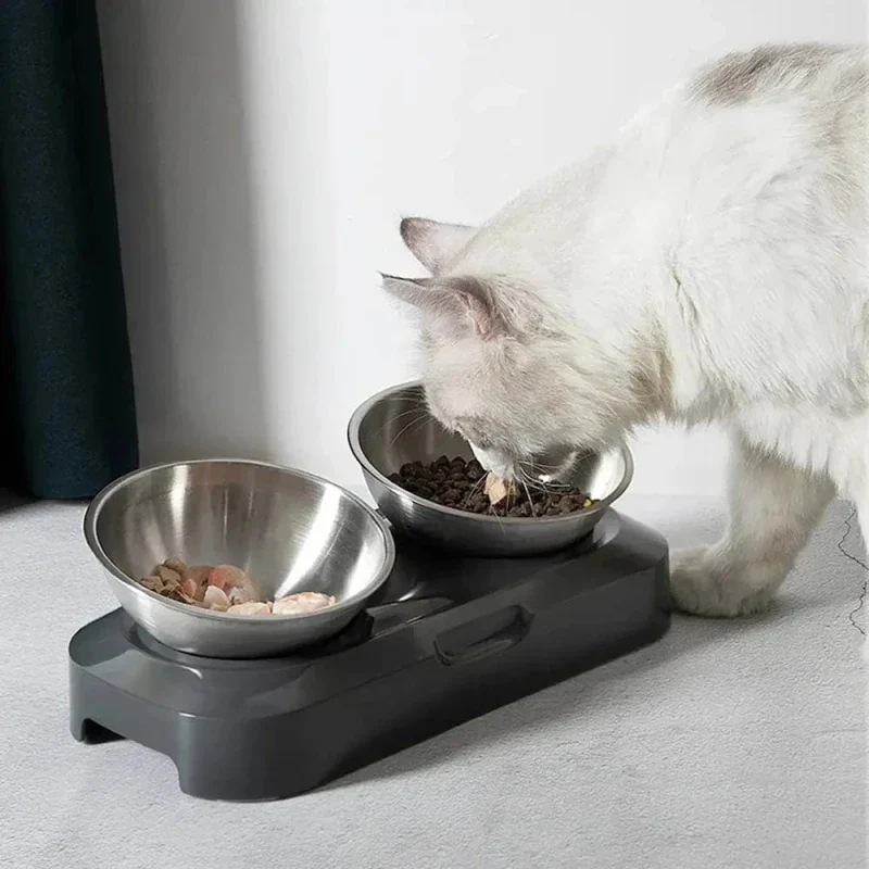 Gamelle chat surélevée inox - Posture idéale | SteelLift