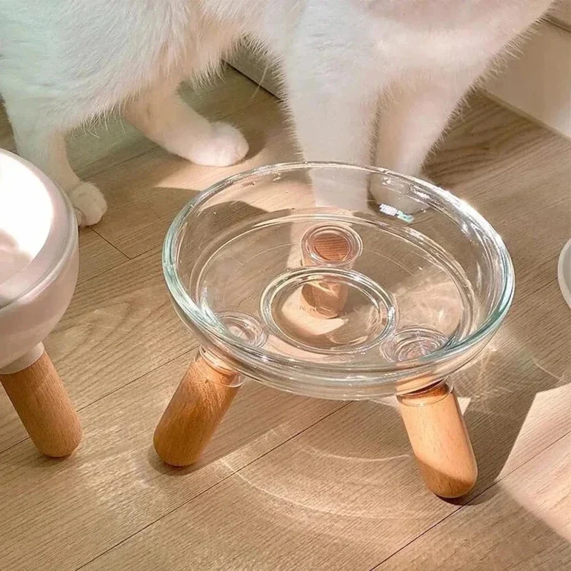 Gamelle en verre pour chat - Design & propreté | ZenGlass