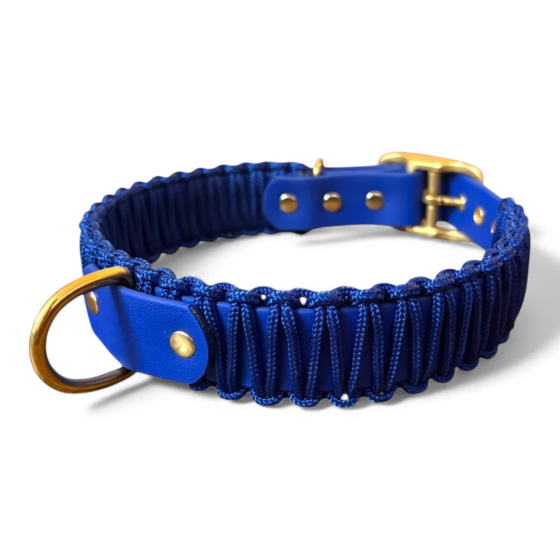 Collier chien - biothane - laiton - paracorde - PLI PARIS