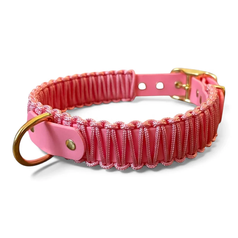 Collier chien - biothane - laiton - paracorde - PLI PARIS