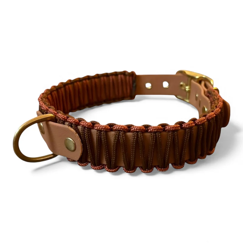 Collier chien - biothane - laiton - paracorde - PLI PARIS