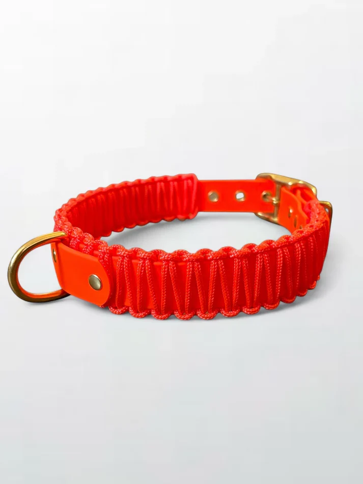 Collier chien - biothane - laiton - paracorde - PLI PARIS