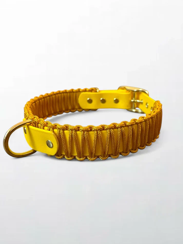 Collier chien - biothane - laiton - paracorde - PLI PARIS
