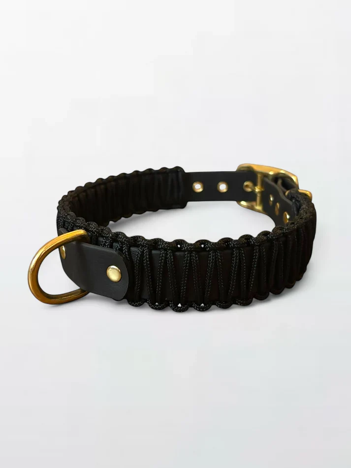 Collier chien - biothane - laiton - paracorde - PLI PARIS