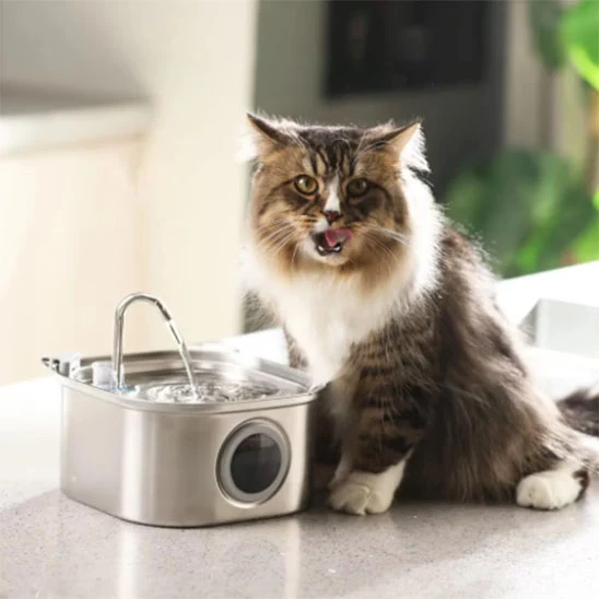 Fontaine à eau pour chat - AquaChat