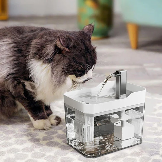 Fontaine eau chat - Mizu