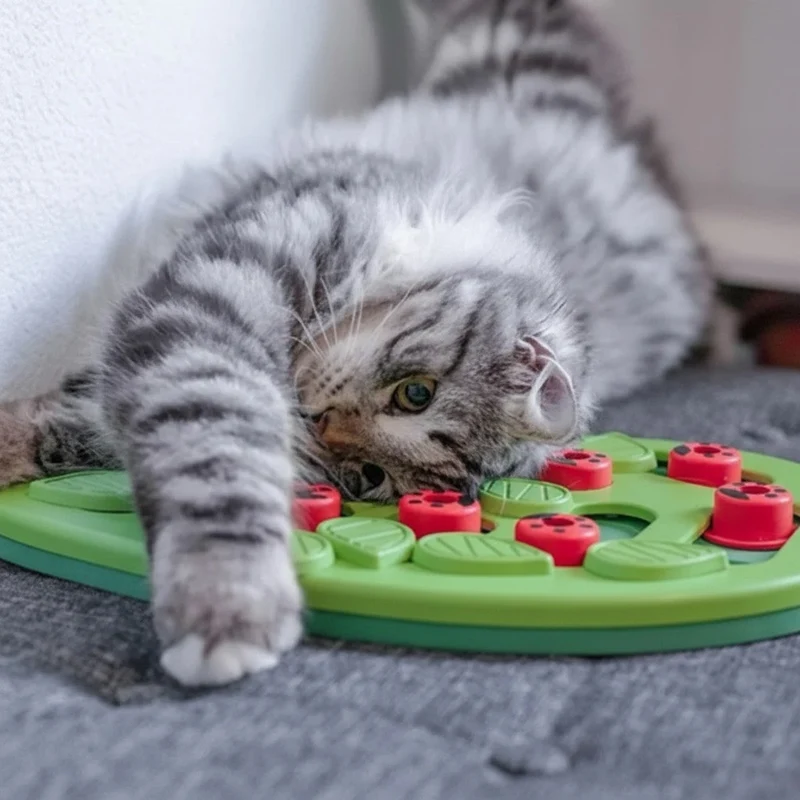 Gamelle anti glouton chat – Puzzle interactif friandises - Leaf