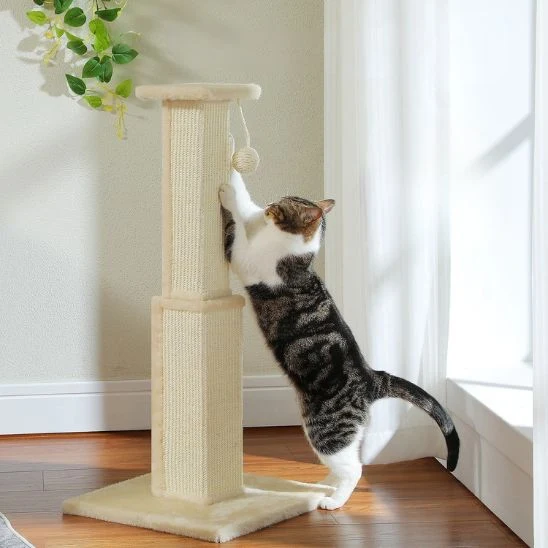 Poteau Griffoir Chat | Griff'Folie