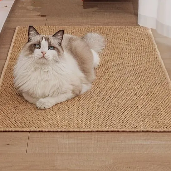 Tapis griffoir pour chat | Bien-être des Pattes