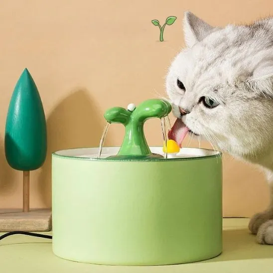 Fontaine Chat Céramique | Céram’Oasis