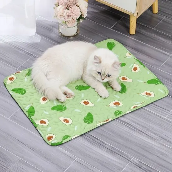 Tapis fraicheur chat | Éden Frais