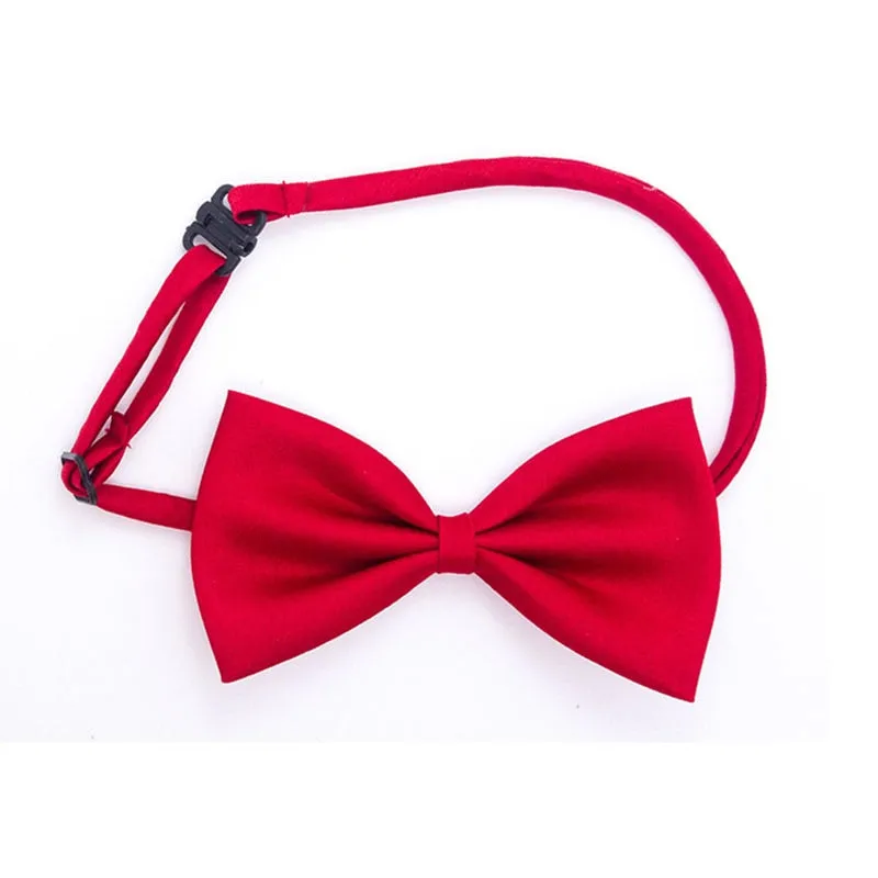 Noeud papillon pour chat Gentleman
