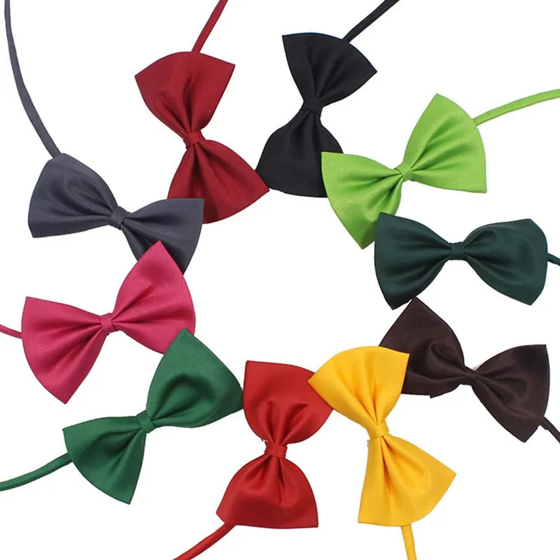 Noeud papillon pour chat Gentleman