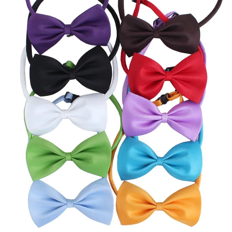Noeud papillon pour chat Gentleman