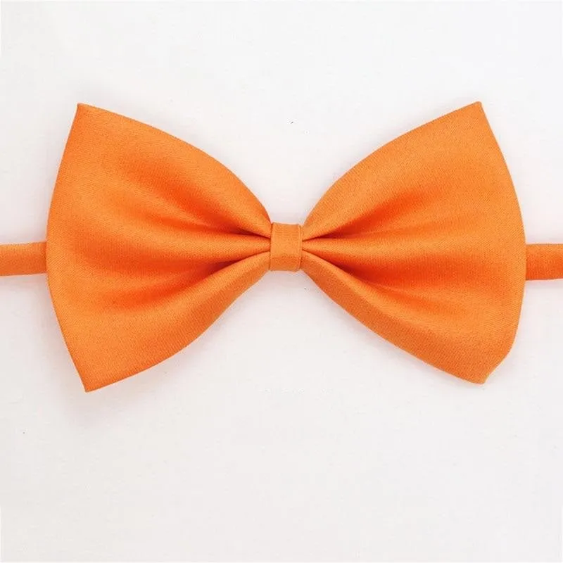 Noeud papillon pour chat Gentleman