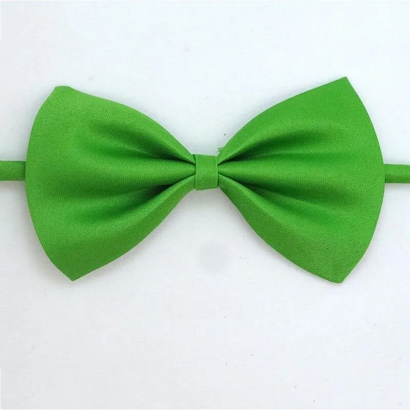 Noeud papillon pour chat Gentleman