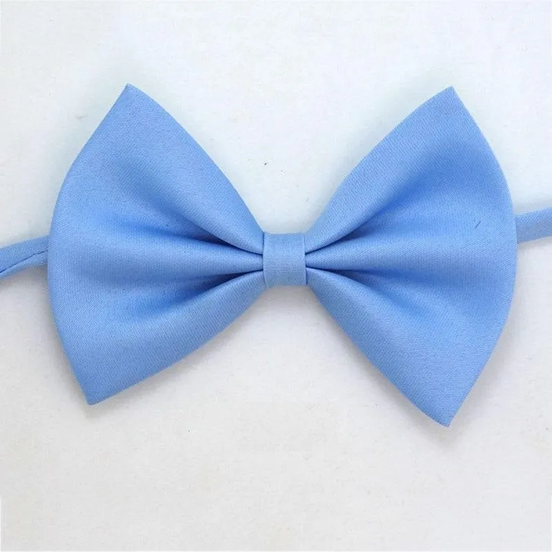 Noeud papillon pour chat Gentleman