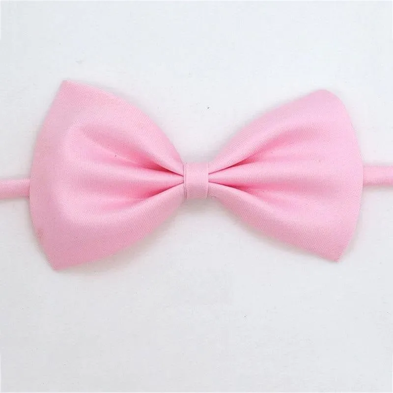 Noeud papillon pour chat Gentleman