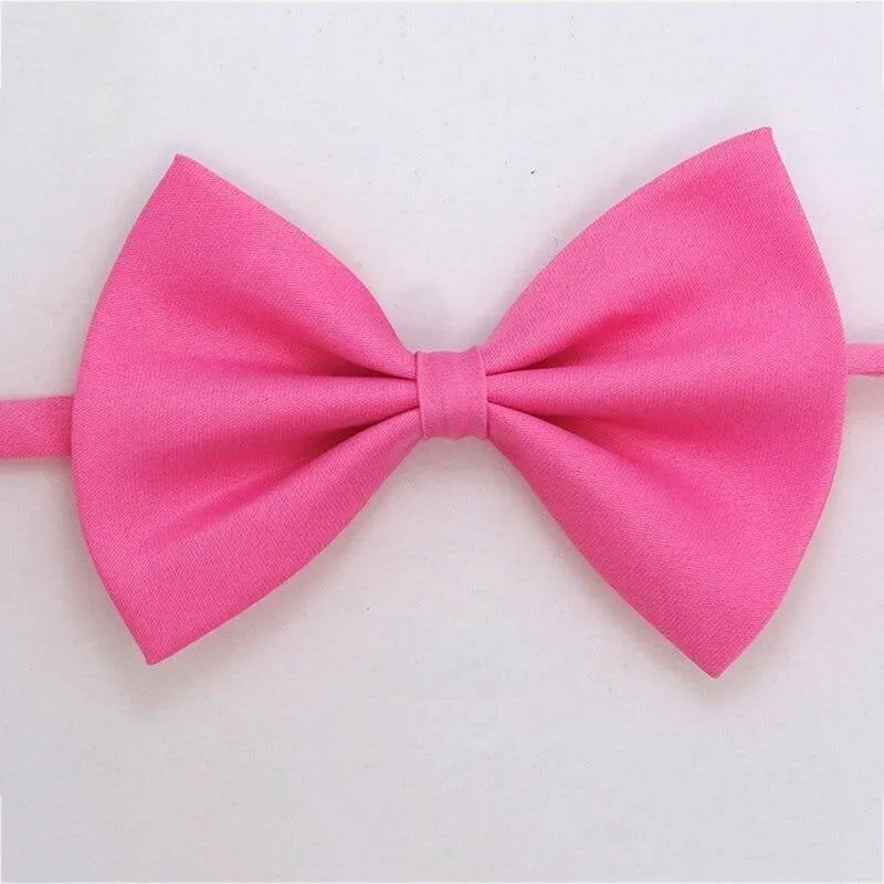 Noeud papillon pour chat Gentleman