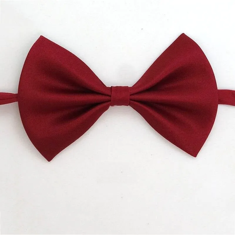 Noeud papillon pour chat Gentleman